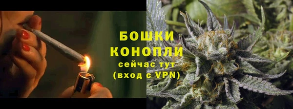 прущие грибы Абинск