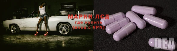 прущие грибы Абинск
