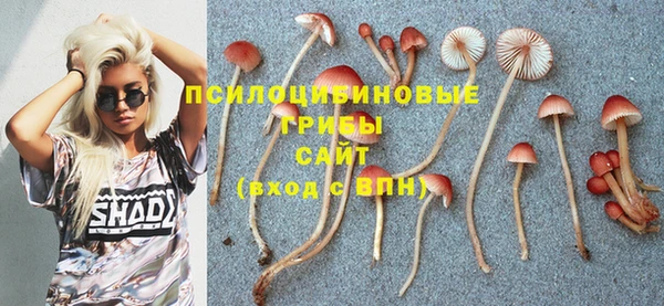 марки nbome Абаза