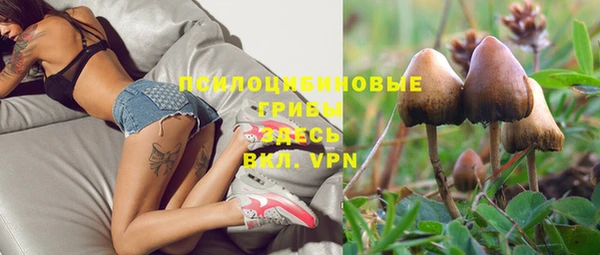марки nbome Абаза