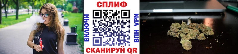 Бошки Шишки THC 21%  hydra ссылки  Дивногорск  цена наркотик 